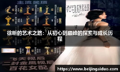 徐昕的艺术之路：从初心到巅峰的探索与成长历程