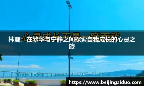 betway必威西汉姆联