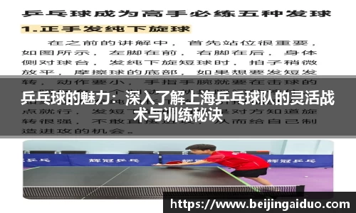 乒乓球的魅力：深入了解上海乒乓球队的灵活战术与训练秘诀